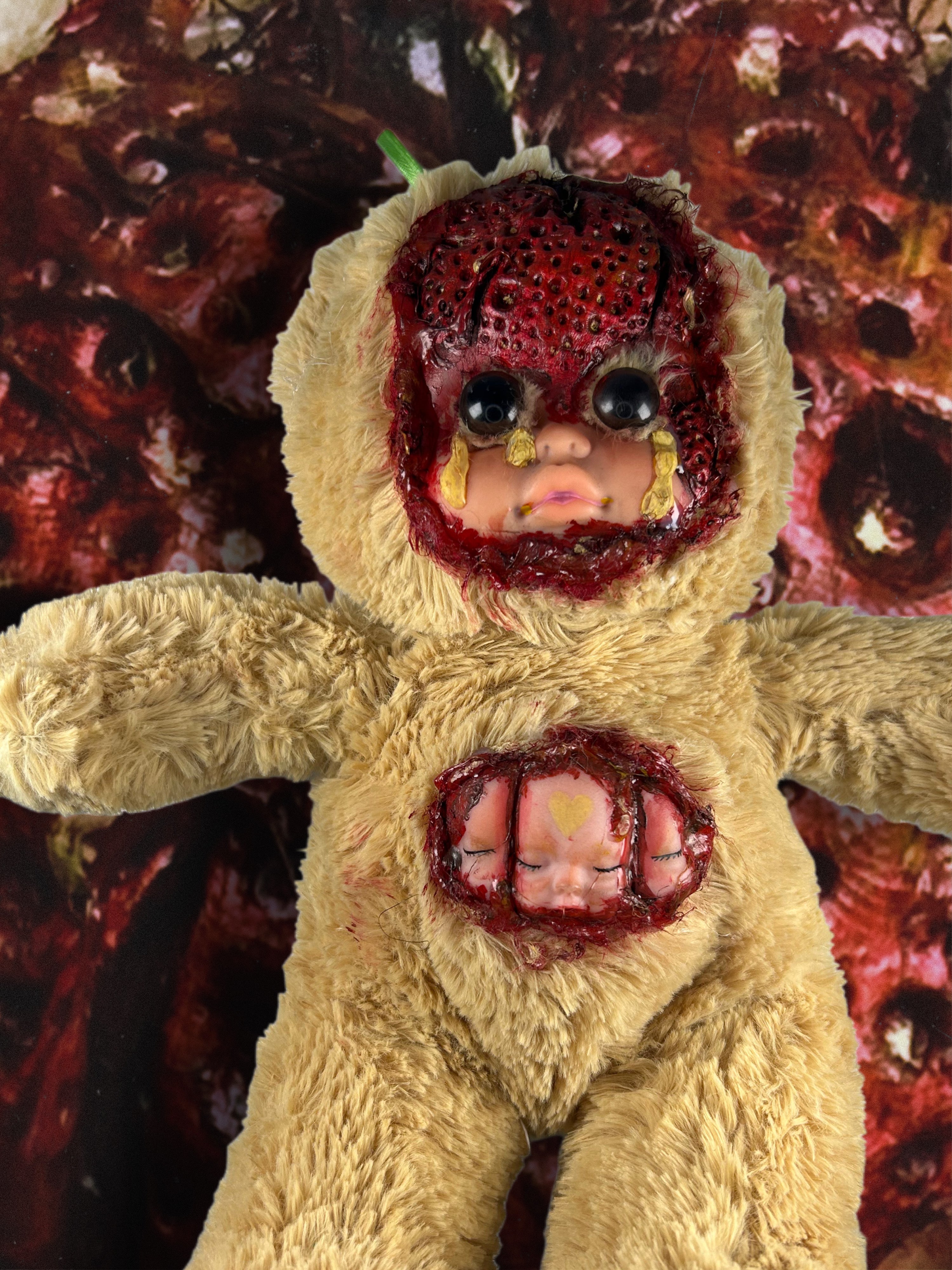 Little Bear “Caradehoyo”