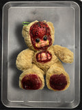 Little Bear “Caradehoyo”