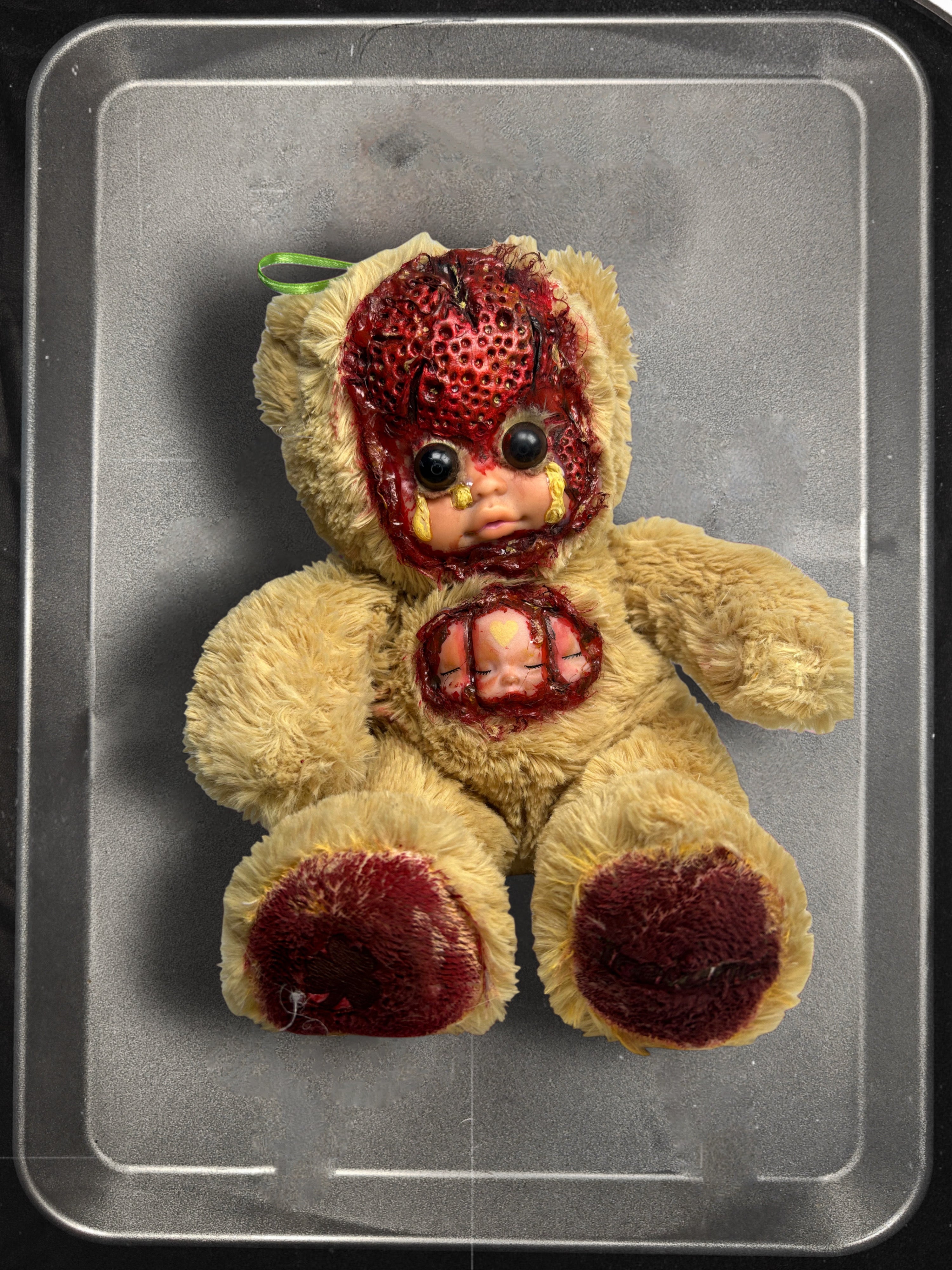 Little Bear “Caradehoyo”