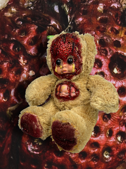 Little Bear “Caradehoyo”