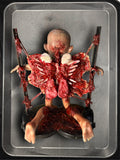 Little Doll “Torturina” blood eagle