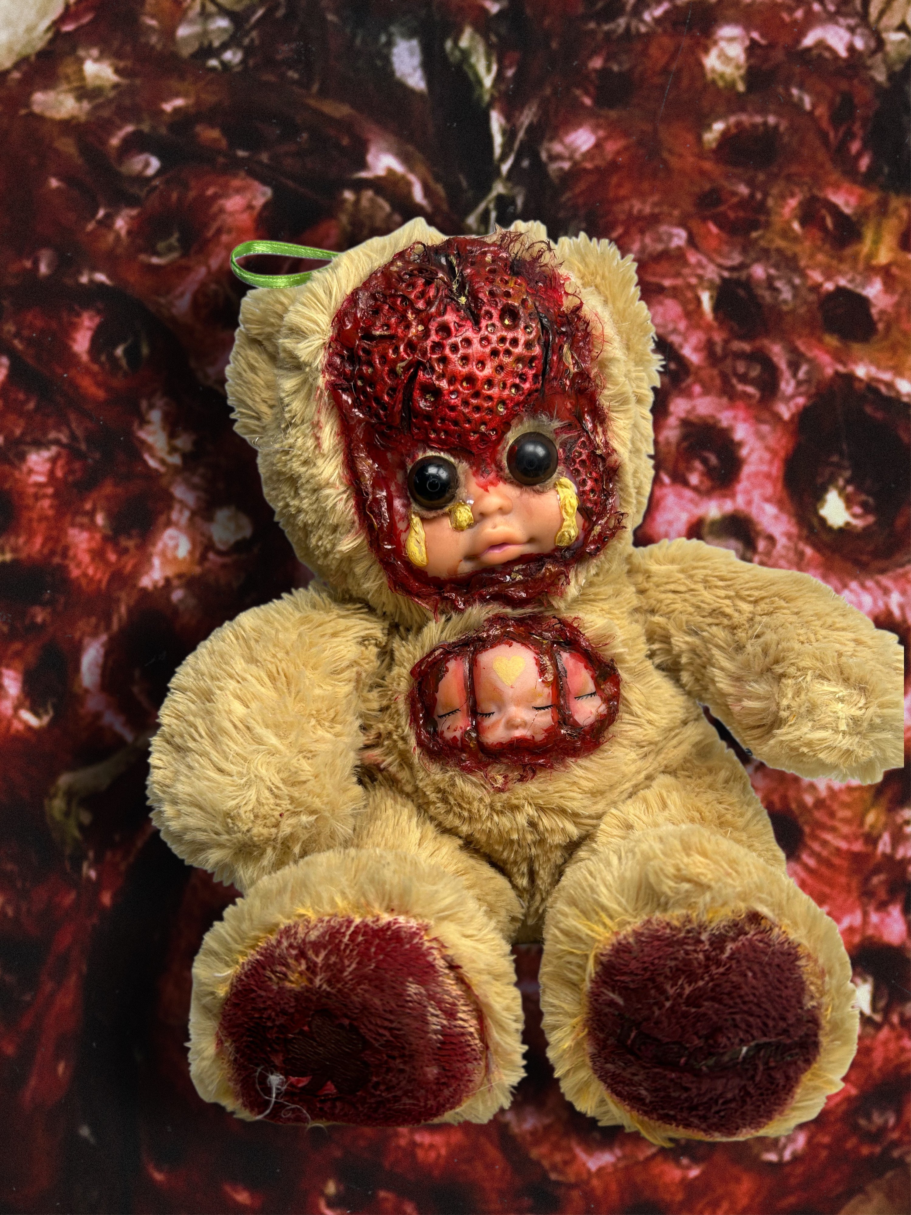 Little Bear “Caradehoyo”