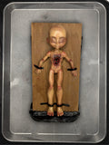 Little Doll “Torturina” Rat Torture